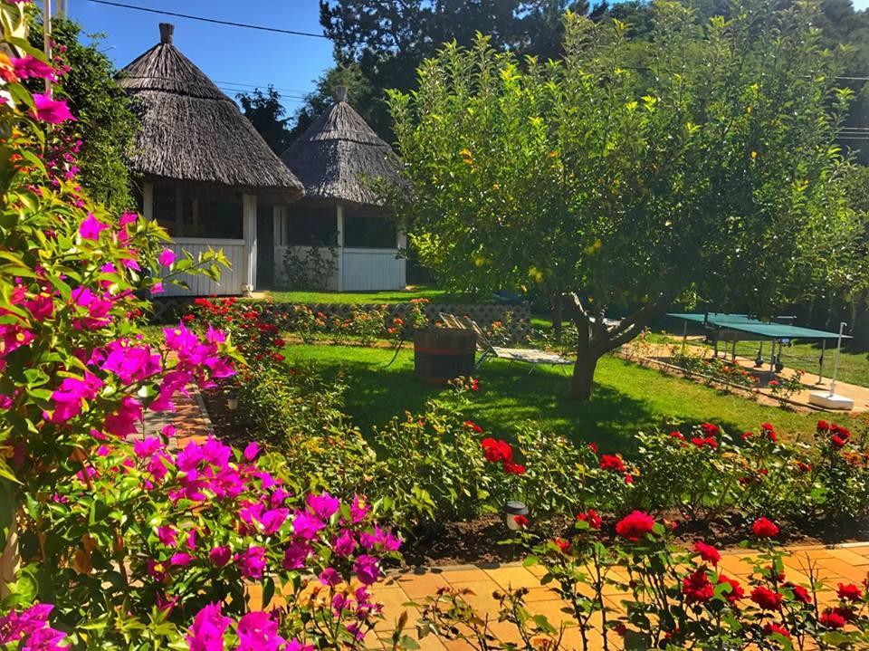 Rózsakert Vendégház Szigliget Esterno foto